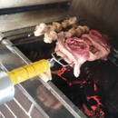 Espeto Giratório Elétrico para Churrasco