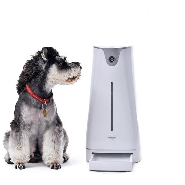 Comedouro Pet Automatico Wifi - Smart Hoison