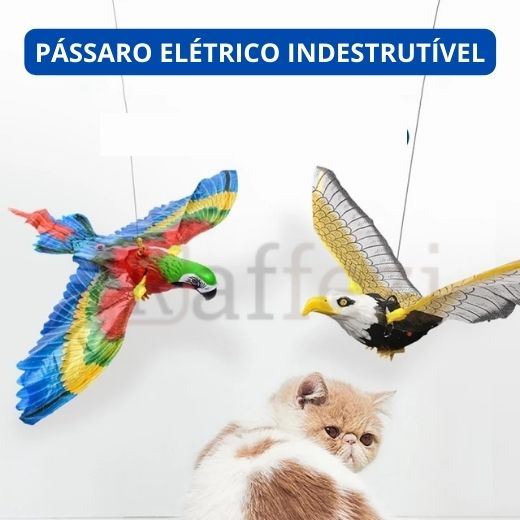 Pássaro de brinquedo para gatos