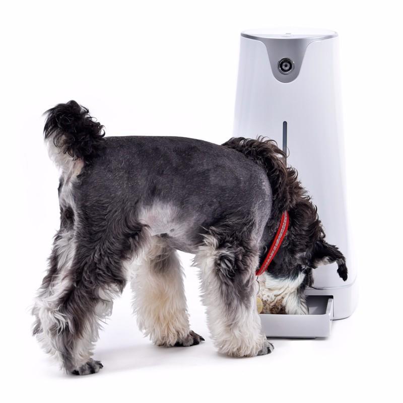 Comedouro Pet Automatico Wifi - Smart Hoison