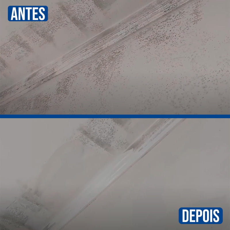 Spray Antimofo para Pinturas de Parede